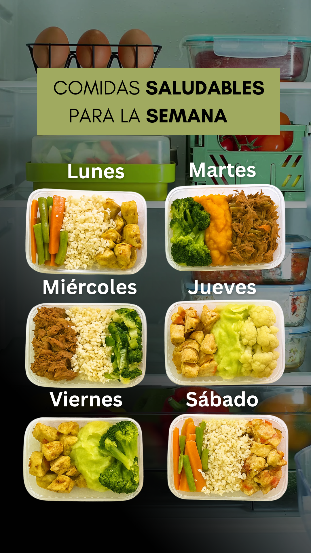 Rells Nutri PARTE 02 -SPN (6)