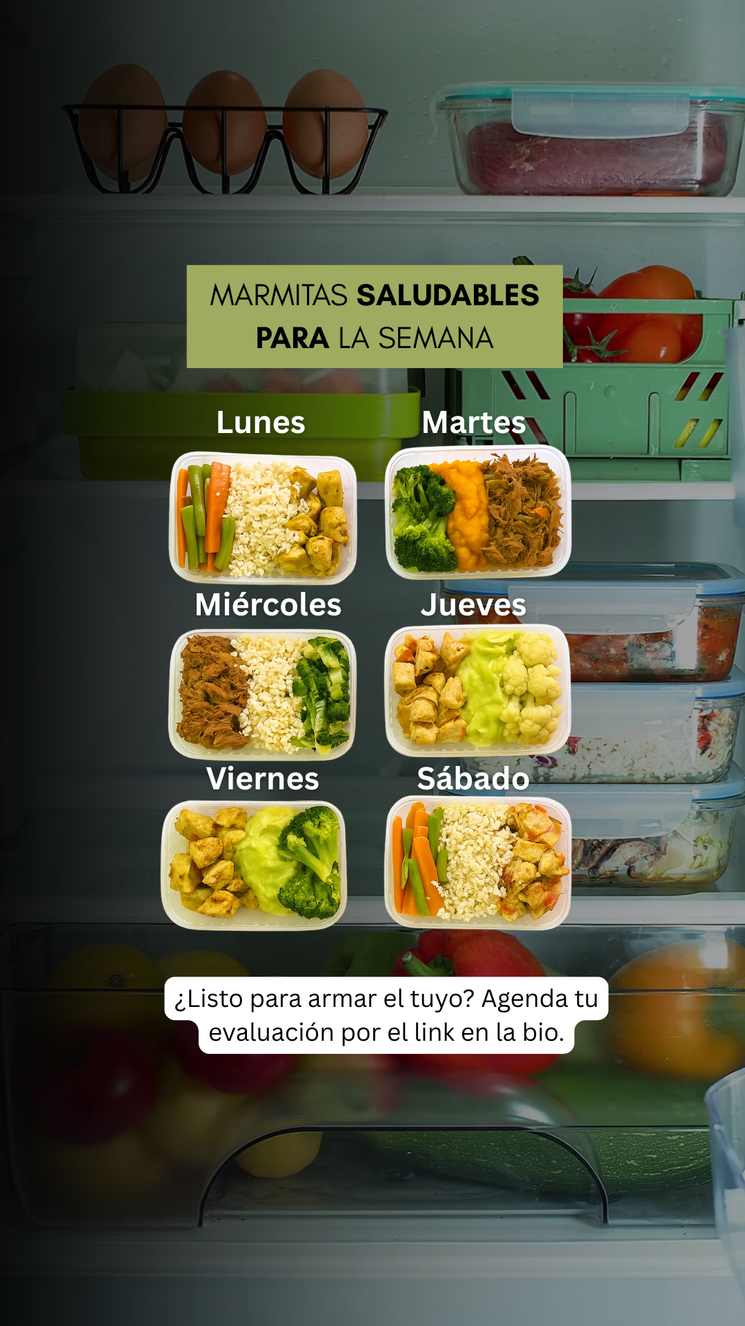 REELS NUTRI SPN- PARTE 02 (1)